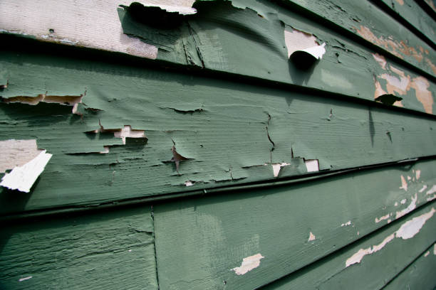 Recycling Services for Junk in Eugene, OR